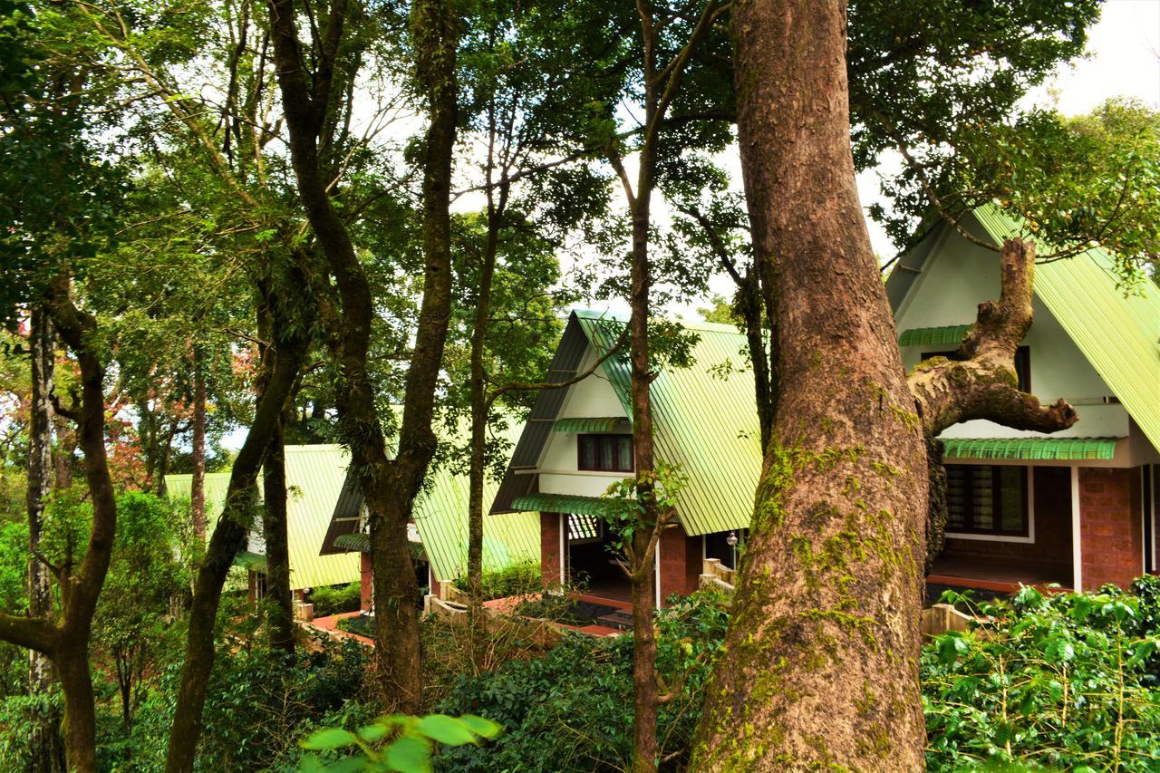Misty Woods Resort Kakkabe Экстерьер фото